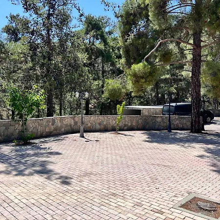 Penelope * パノ・プラトレス